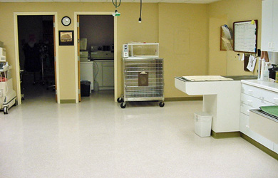 Large treatment area, for medical procedures, dental cleanings and surgical recovery monitoring